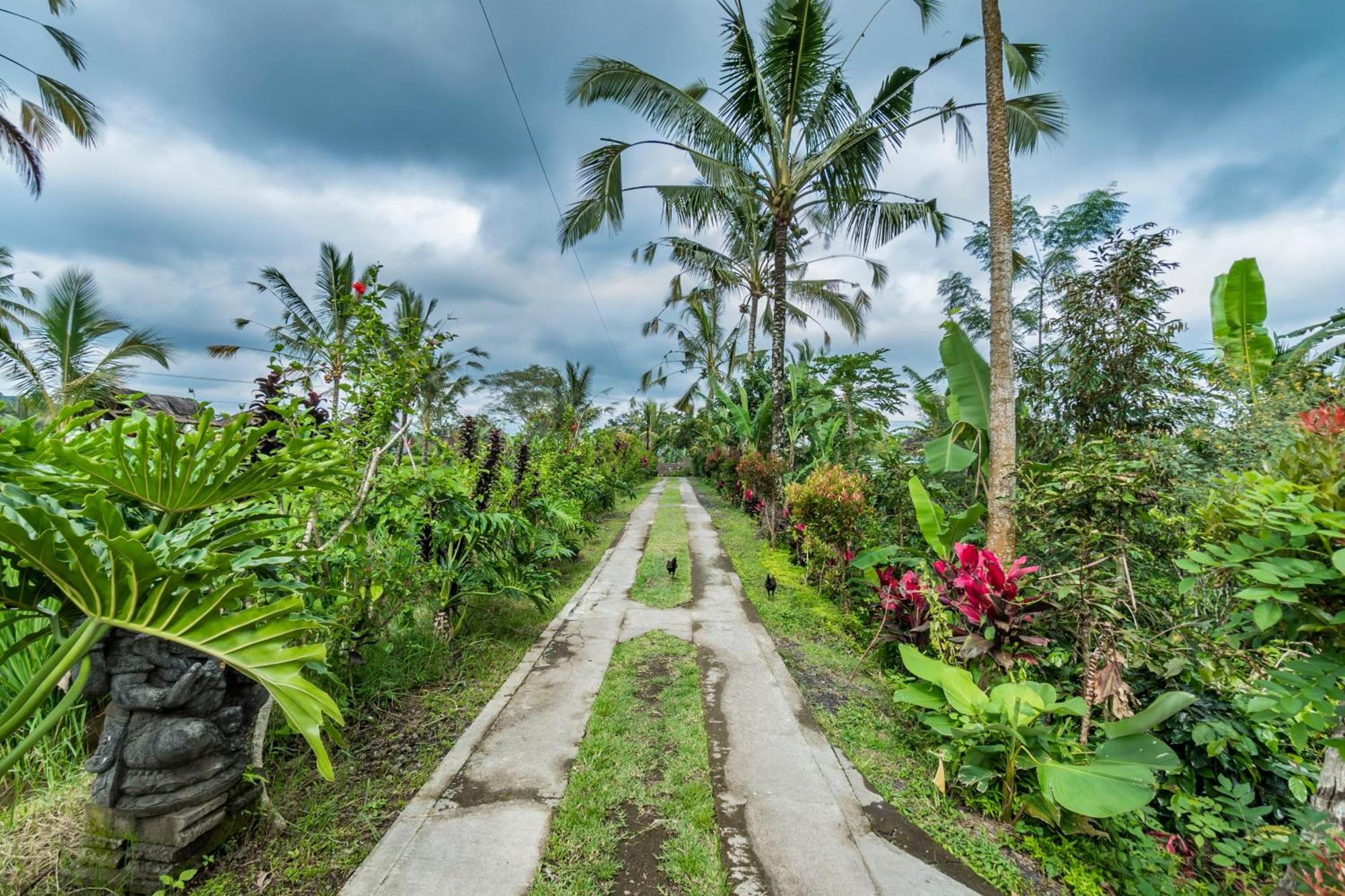 Ritual Ubud Payangan Zewnętrze zdjęcie